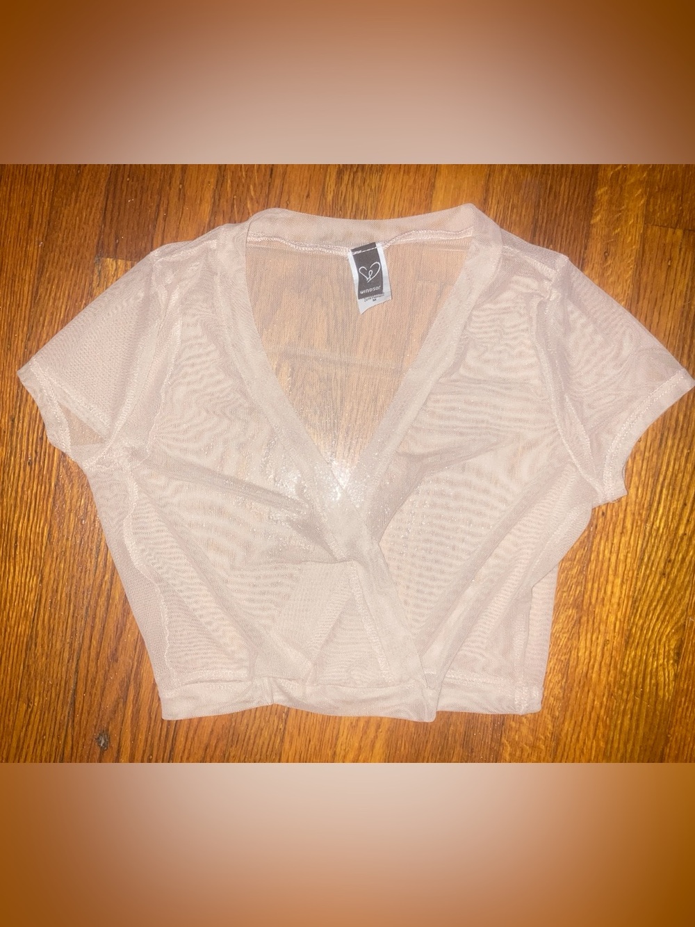 Windsor Sheer Mesh Crop Top